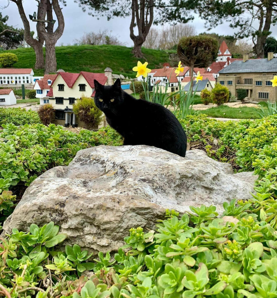 Southsea Model Village