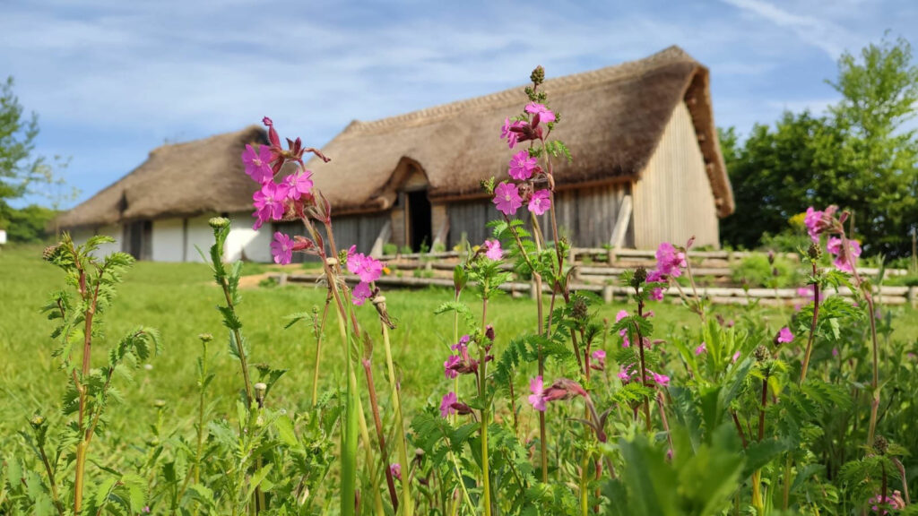 Butser Ancient Farm