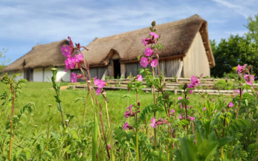 Butser Ancient Farm